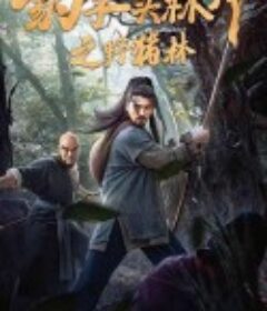 豹子头林冲之野猪林            (2019)