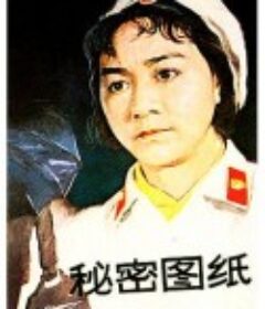 秘密图纸            (1965)