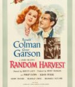 鸳梦重温 Random Harvest            (1942)