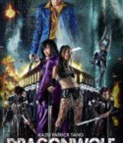 龙狼血战 Dragon wolf            (2013)