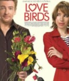 爱情鸟 Love Birds            (2011)