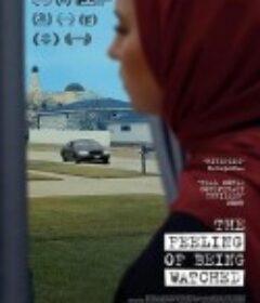 被监视的感觉 The Feeling of Being Watched            (2018)