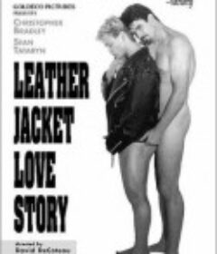 恋恋皮夹克 Leather Jacket Love Story            (1997)