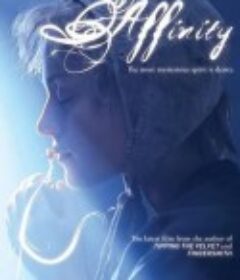灵契 Affinity            (2008)