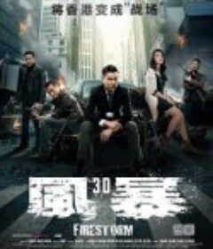 风暴 風暴            (2013)