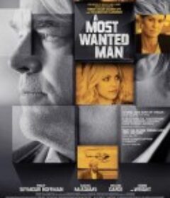 最高通缉犯 A Most Wanted Man            (2014)