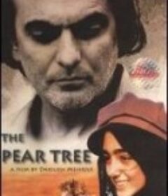 梨子树 Derakhte Golabi            (1998)