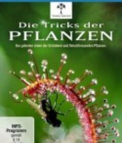 植物的秘密武器 Die Tricks der Pflanzen            (2014)