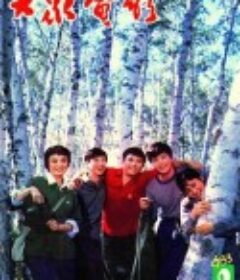 我们的田野            (1983)