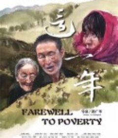 这一年            (2020)