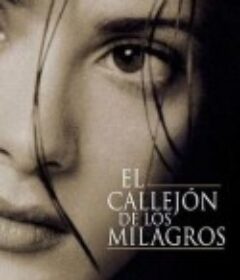 欲望大街 El Callejón de los Milagros            (1995)