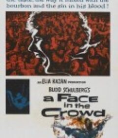 登龙一梦 A Face in the Crowd            (1957)