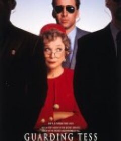 第一夫人的保镖 Guarding Tess            (1994)