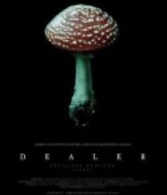 迷幻天堂 Dealer            (2004)