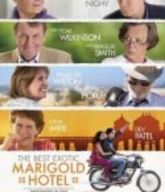 涉外大饭店 The Best Exotic Marigold Hotel            (2011)