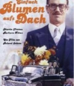 部长轿车的风波 Einfach Blumen aufs Dach            (1979)