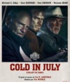 七月寒潮 Cold in July            (2014)