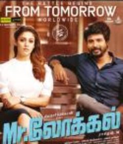 本地人 Mr.Local            (2019)