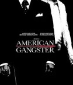 美国黑帮 American Gangster            (2007)