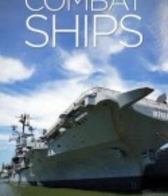 战舰大时代 Combat Ships            (2017)
