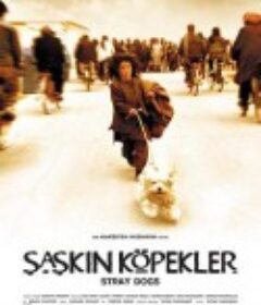 流浪狗 Sag-haye velgard            (2004)