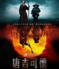魔侠传之唐吉可德            (2010)
