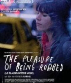 被抢劫的乐趣 The Pleasure of Being Robbed            (2008)