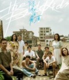 隐秘的角落            (2020)