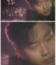 惊情 驚情            (1985)