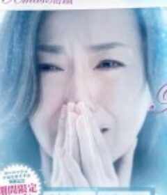 圣诞节的奇迹 Xmasの奇蹟            (2009)