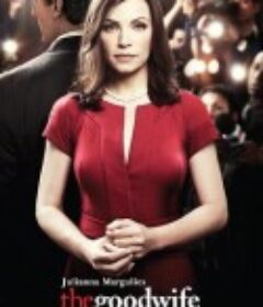 傲骨贤妻 第一季 The Good Wife Season 1            (2009)