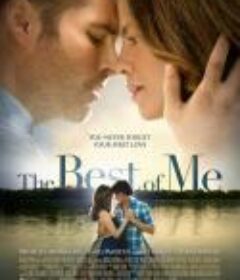 最好的我 The Best of Me            (2014)