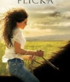 弗莉卡 Flicka            (2006)