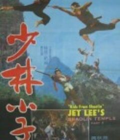 少林小子            (1984)