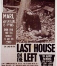 魔屋 The Last House on the Left            (1972)