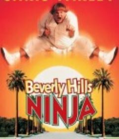比佛利武士 Beverly Hills Ninja            (1997)