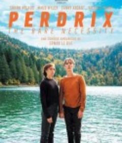 佩尔德利 Perdrix            (2019)
