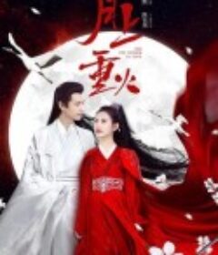 月上重火            (2020)