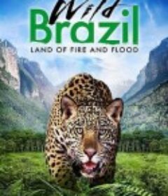 狂野巴西 Wild Brazil            (2014)