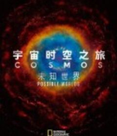 宇宙时空之旅：未知世界 Cosmos: Possible Worlds            (2020)