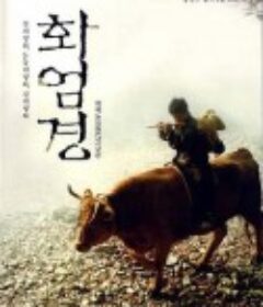 华严经 화엄경            (1993)