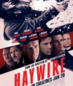 制胜一击 Haywire            (2011)