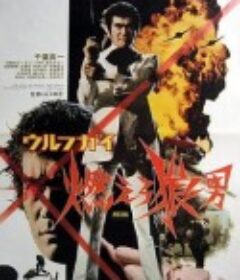 wolf guy 燃烧吧狼人 ウルフガイ 燃えろ狼男            (1975)