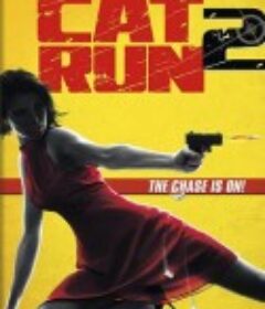 性感女特工2 Cat Run 2            (2014)