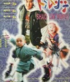 笑林小子            (1994)