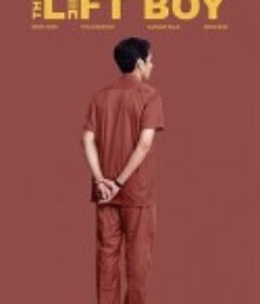 电梯男孩 The Lift Boy            (2019)