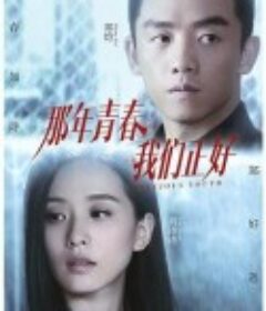 那年青春我们正好            (2016)