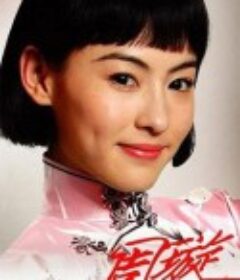 天涯歌女            (2008)