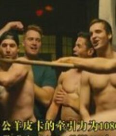 美国男性 American Male            (2016)