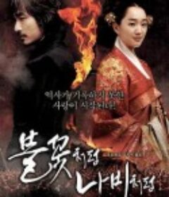 像火花像蝴蝶 불꽃처럼 나비처럼   限制级  (2009)